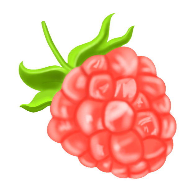 Raspberry❤️✨