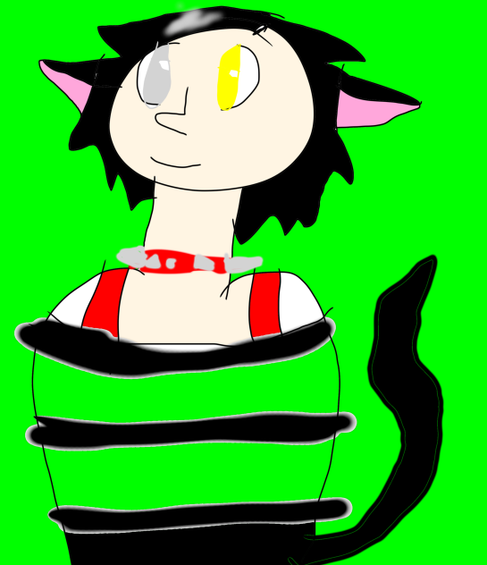 Selina The CatGirl