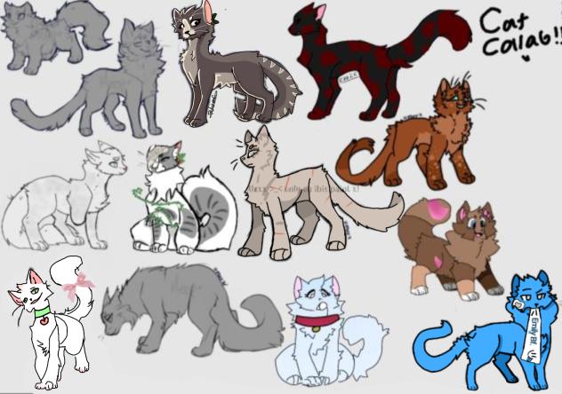 Cat collab