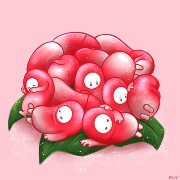 Flower Beans