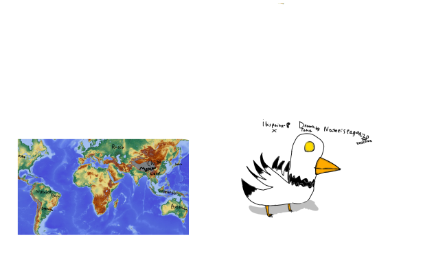 World map and seagull