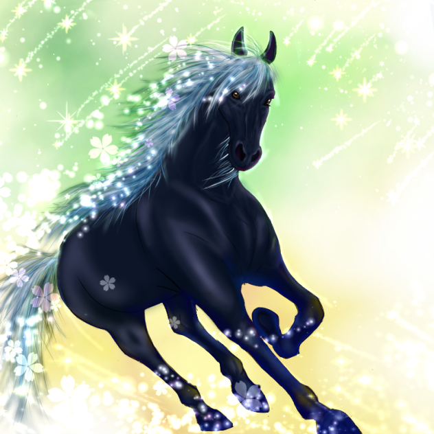 SPRING black beauty - ibisPaint