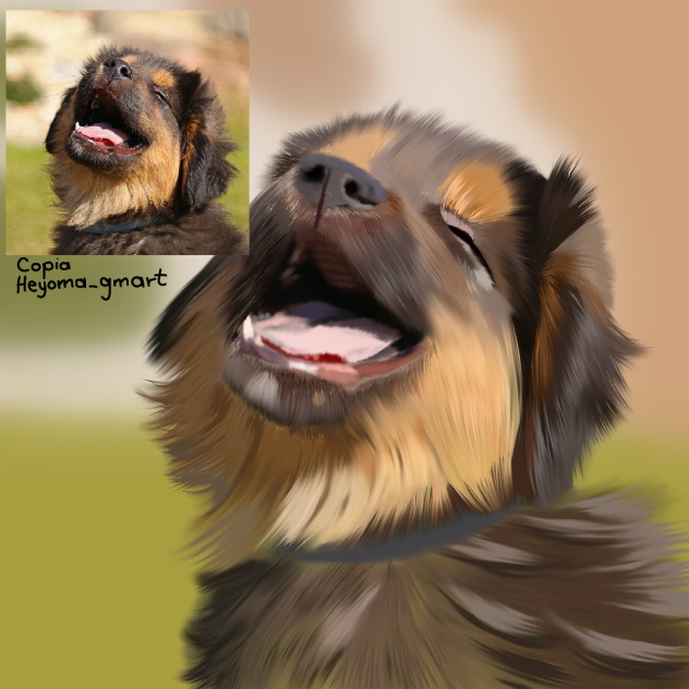 copia (cachorro)