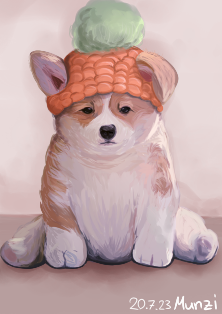 Doggie 🐶