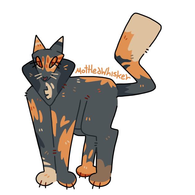 MottledWhisker (for sh4rk0)