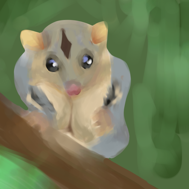 sugar glider 🫶