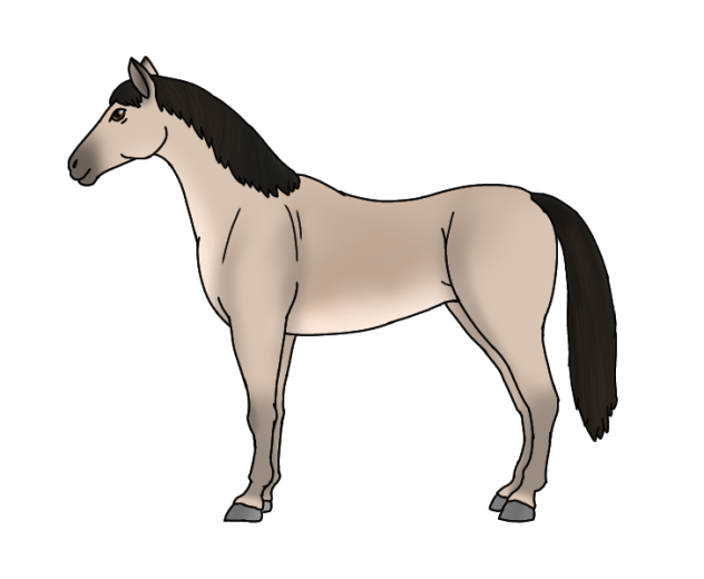 Tarpan Horse