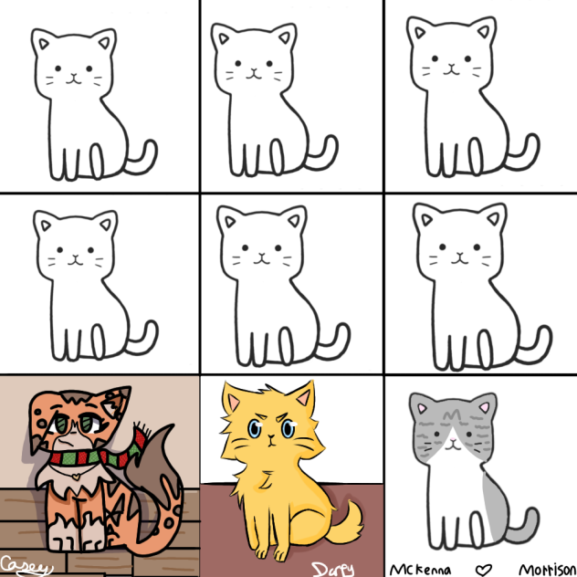 Cat collab