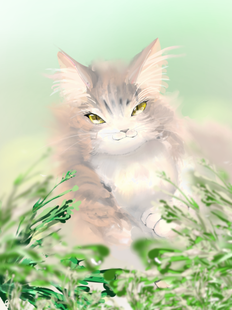 ねっこ