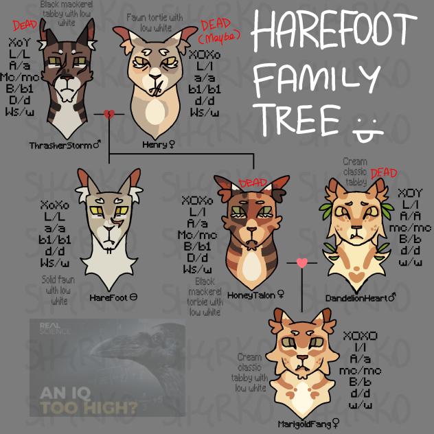 GENETICALLY ACCURATE OC WARRIORS FAM TRE