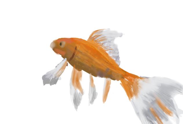 金魚