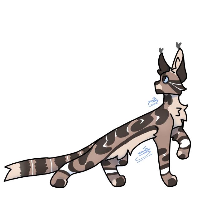 kitty - ibisPaint