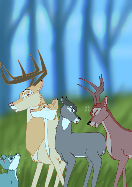 cervos 🦌