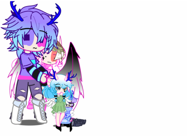 (Description)
