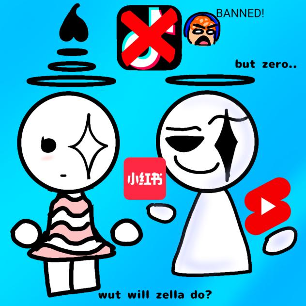 what will I do with my life- zella