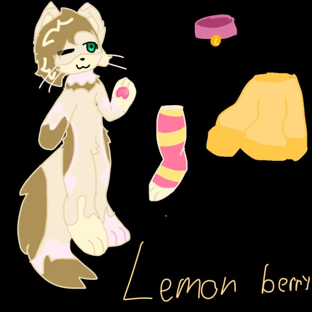 Lemon Berry my Main oc!