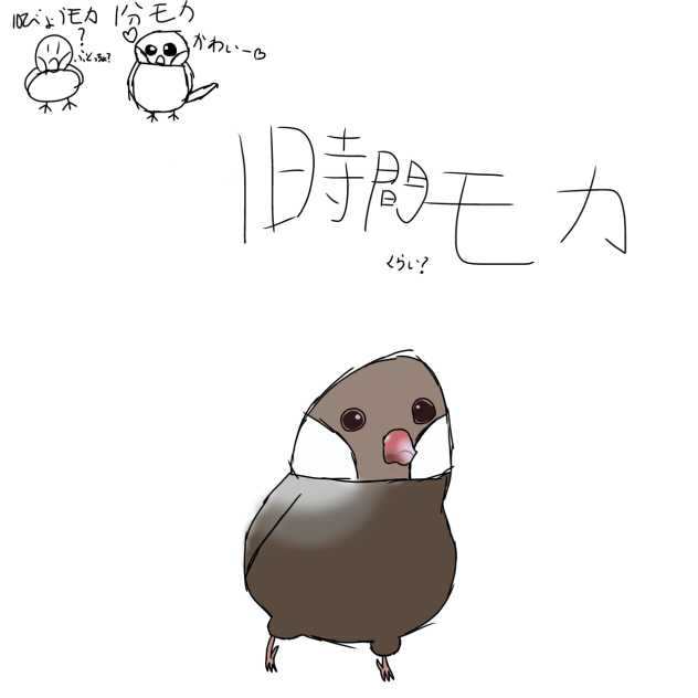 色んな時間かけたモカ