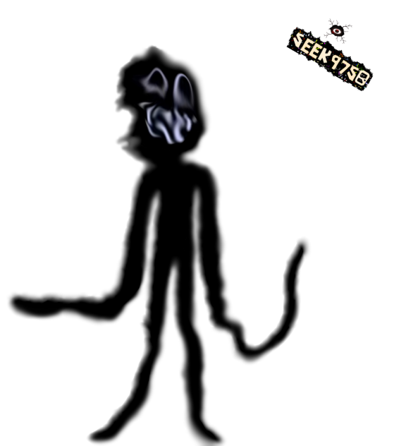 The intruder