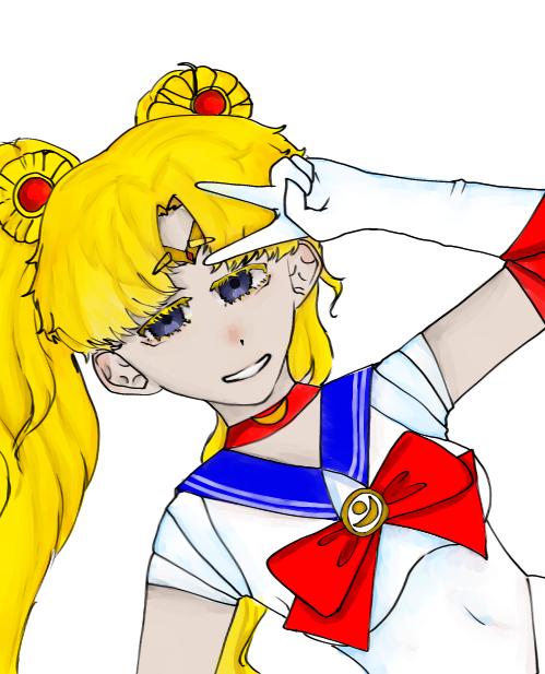 sailor moon request