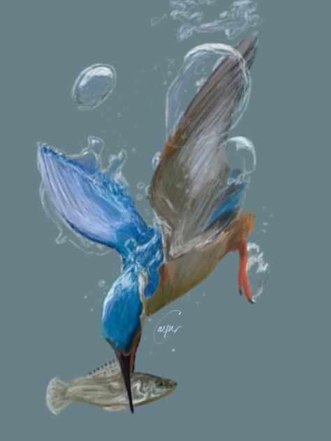 Kingfisher