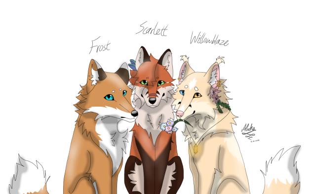 Fox trio