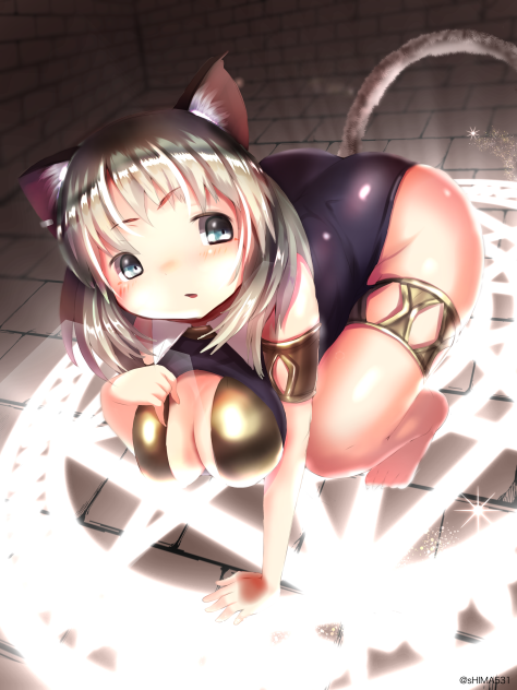 猫召喚
