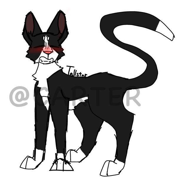 Quick Tallstar doodle lol