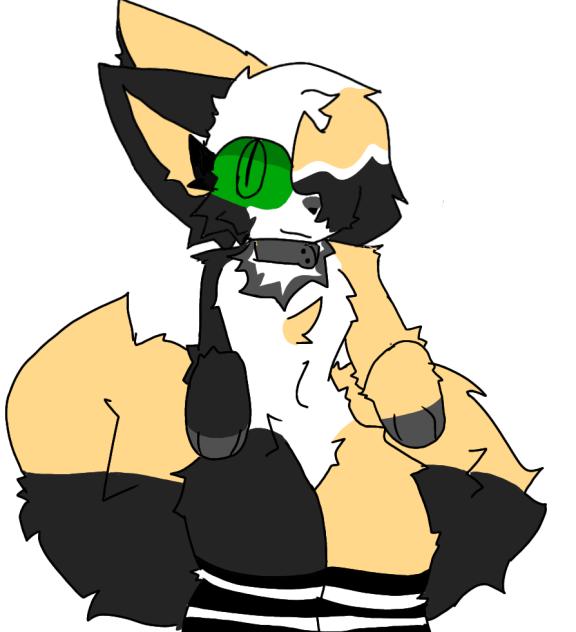 MILKO