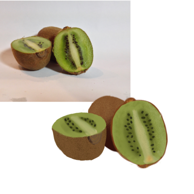 Kiwi realistic attempt