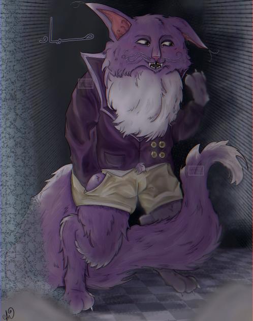 anthro pocketcat