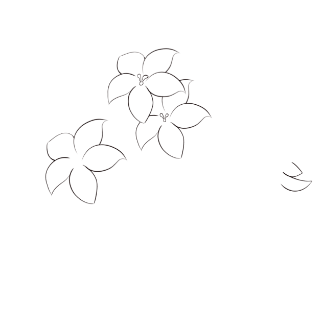 ไม่มีชื่อ 593