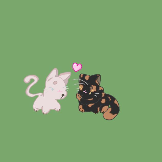 me & besties fav kind of cat!😼