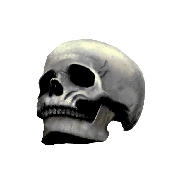 skull