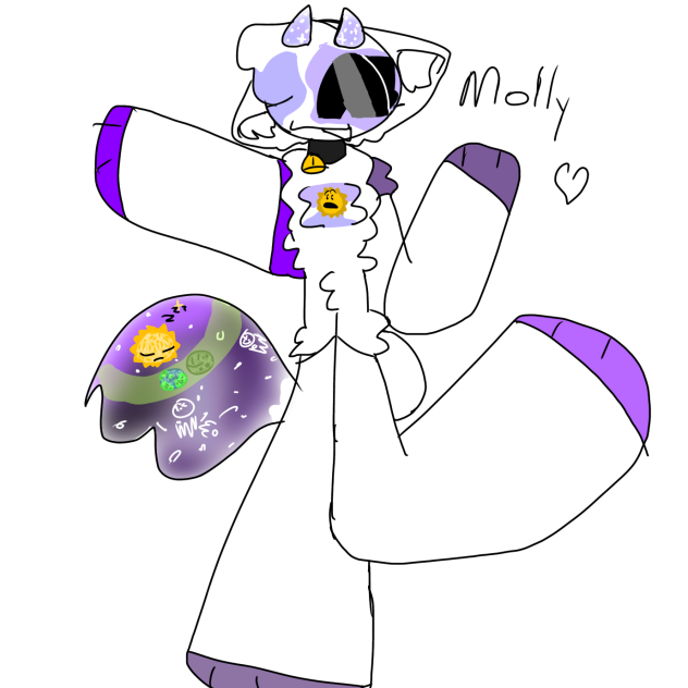 molly😆😆😆