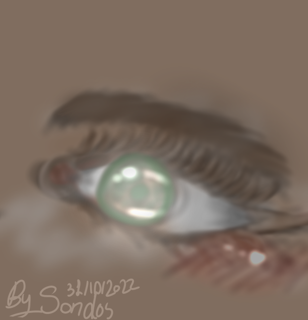 ꧁  ૯ע૯ς︎ ꧂
