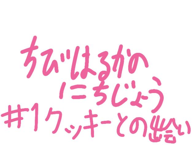 #1クッキーとの出会い