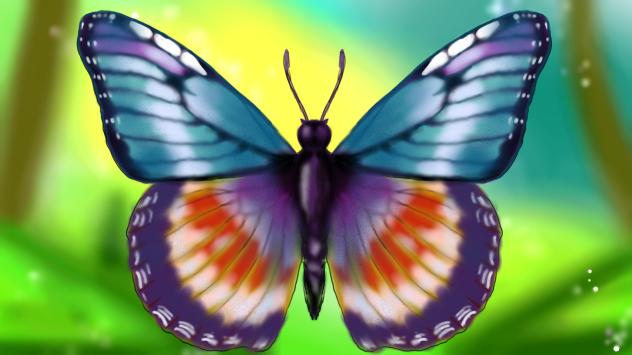 How to draw a Butterfly
