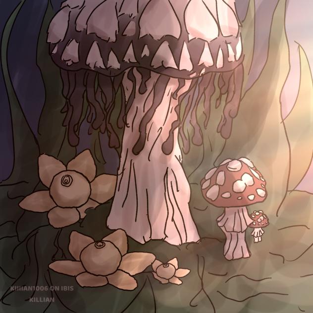 Coprinus Comatus (read desc plz)