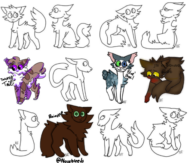 Warrior cats oc collab