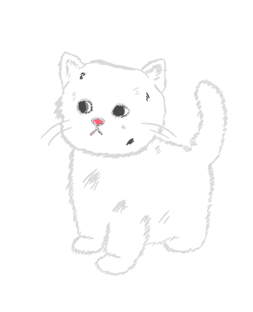 outline
