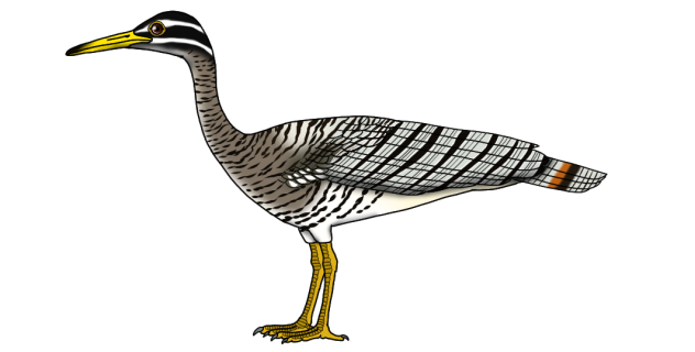 Sawintiran Sunbittern render