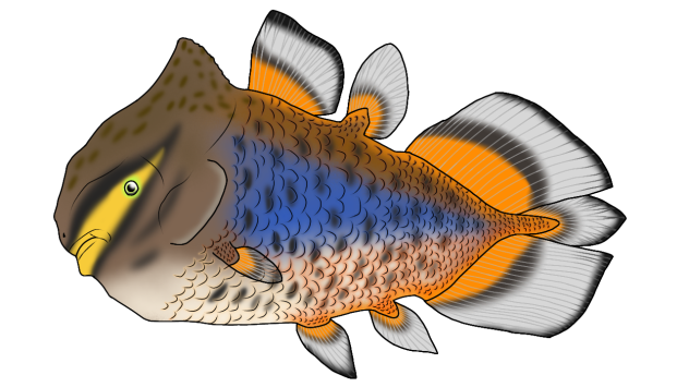 Foreyia maxkuhni render