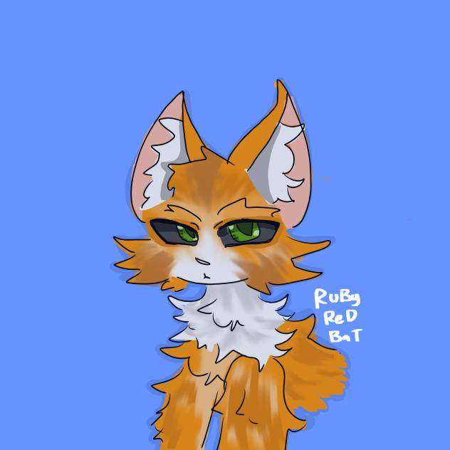 Maine Coon