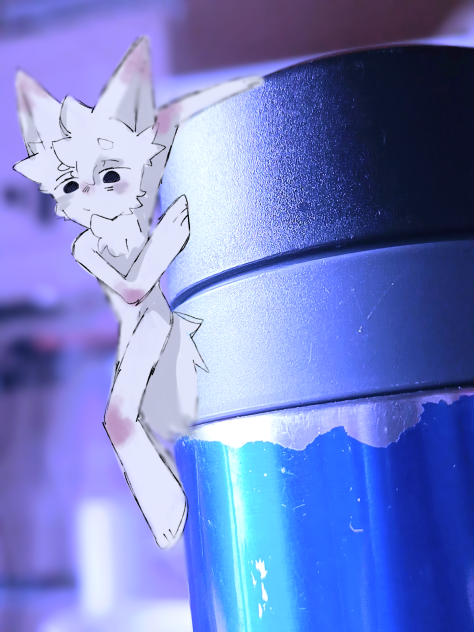 けもさん