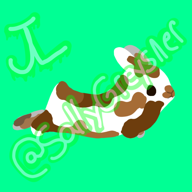 Chocolate nickname “poops”