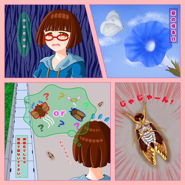 夏の風物詩