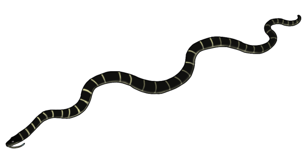 Antarctic Sea Serpent render