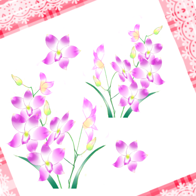 蘭の花素材、デンファレ。南国背景