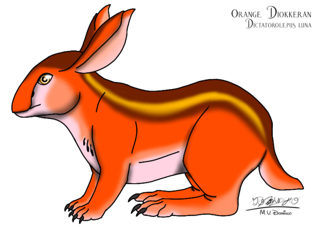 Orange Diokkeran