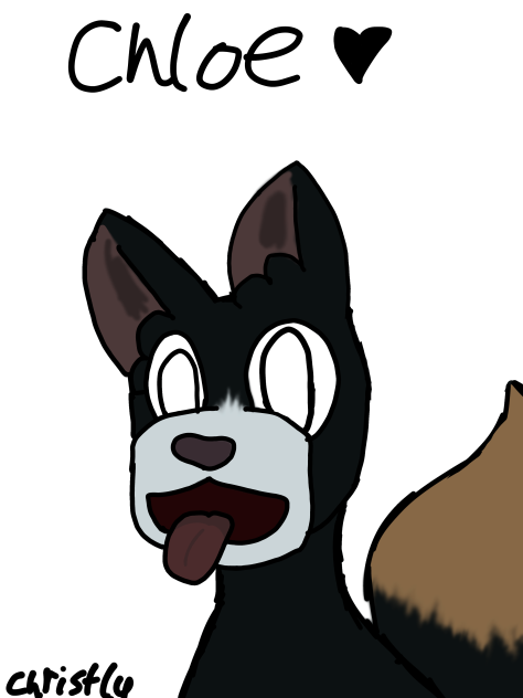 I drew my friends dog - ibisPaint